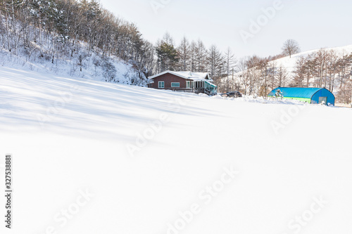 Wallpaper Mural Winter snowfall landscape in Daegwallyeong area, Gangwon-do Torontodigital.ca