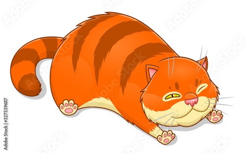Fat cartoon cat