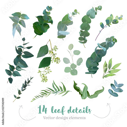Greenery leaves vector big collection