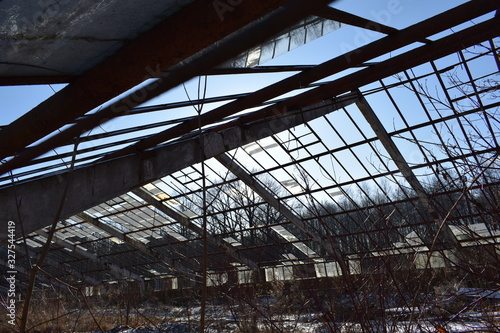 Wallpaper Mural old abandoned greenhouse in the garden Torontodigital.ca