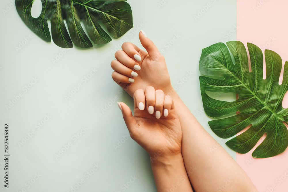 Pastel manicure on a blue and pink background with palm leaves. Tropical background with woman's hands - obrazy, fototapety, plakaty 