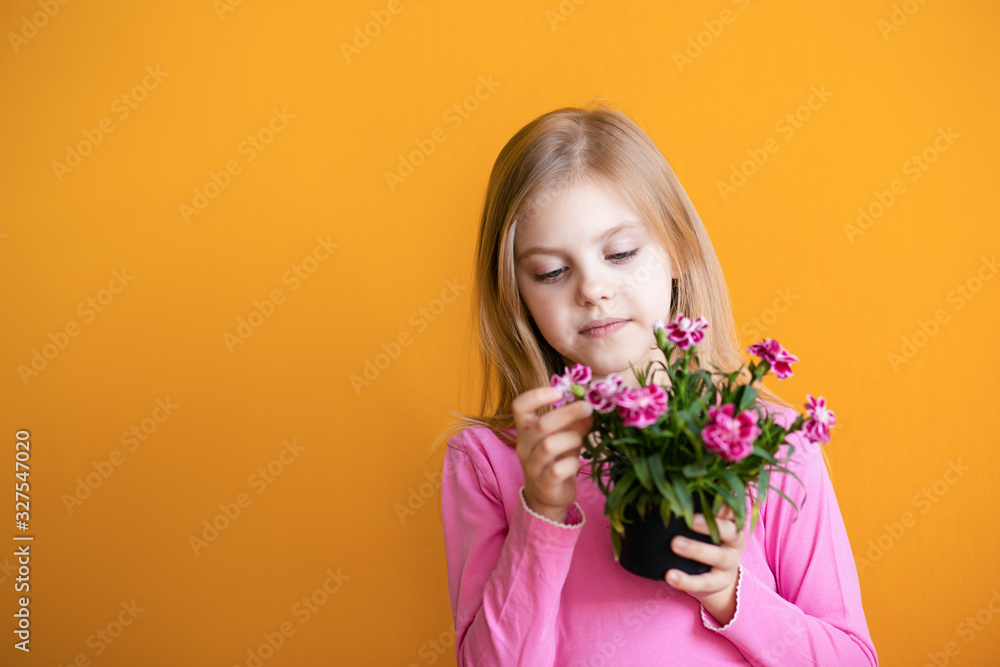 Cute baby on an orange background, 6-8 years old, a girl in pink clothes smiles, holds a pot with a flower of cloves in her hands Cute baby on an orange background, 6-8 years old, a girl in pink clothes smiles, holds a pot with a flower of cloves in her hands