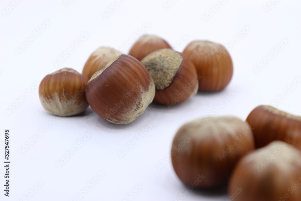 nuts hazelnuts background picture texture nuts hazelnuts background picture texture