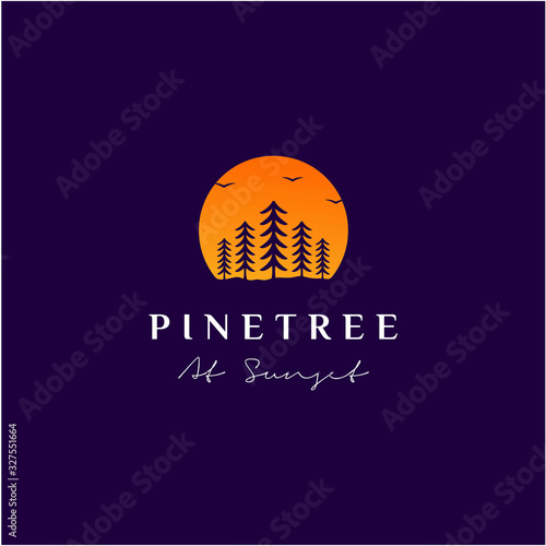 Simple sunset pine, evergreen, fir, hemlock, spruce, conifer, cedar, coniferous, cypress, larch, pins Trees Vector Logo design