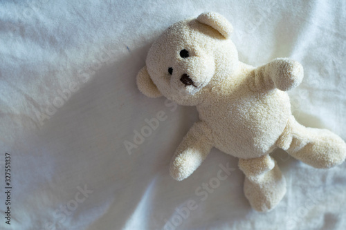 Teddy bear on white cloth background