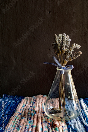 dried lavender tied with a purple bow on test tube photo