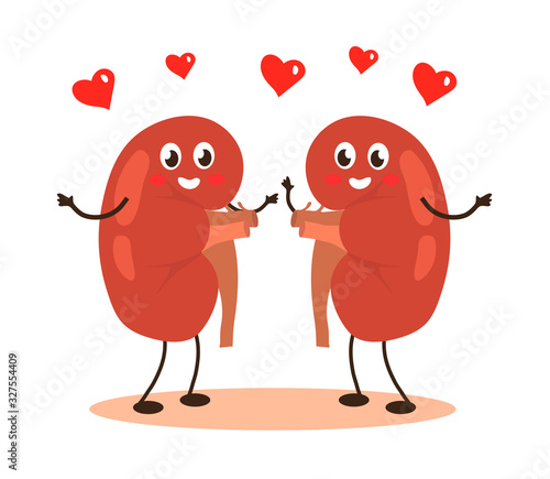 Happy human kidneys on a white background. Vector illustration.