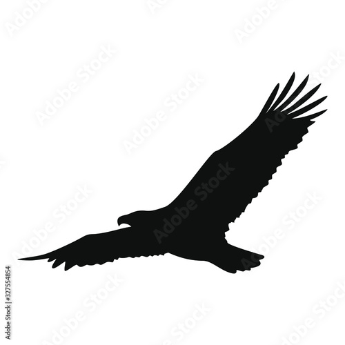 Black eagle on a white background in vector EPS8