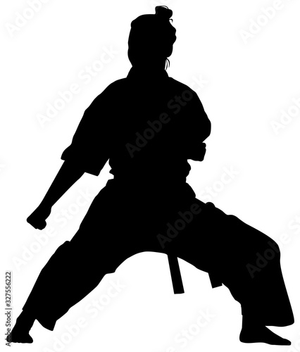 silhouette of a female athlete kata karate vector