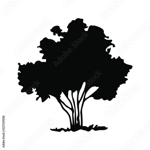 Tall architectural shrub, vector landscape illustration