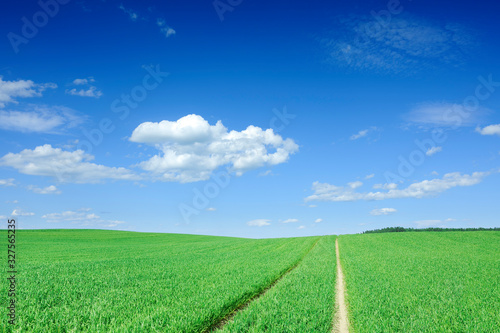 Landscape, dirty road among green fields, blue sky in the backgr