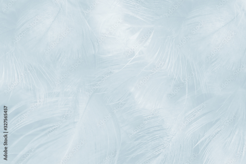 Obraz premium Beautiful white baby blue colors tone feather pattern texture cool background for decorative design wallpaper and other