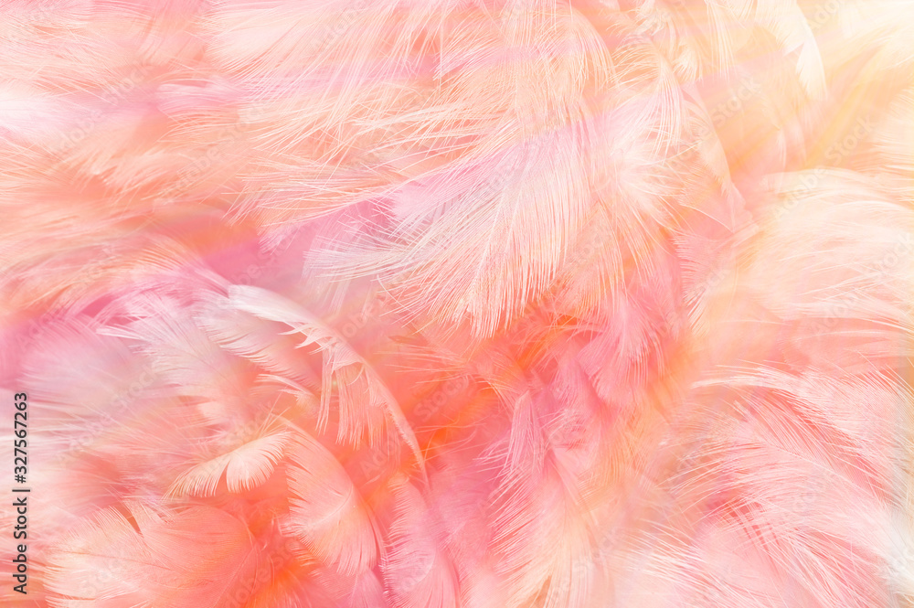 Beautiful soft pink color trends feather pattern texture background with orange light flare rainbow