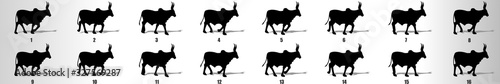 Bull walk cycle animation frames silhouette, loop animation sequence sprite sheet 