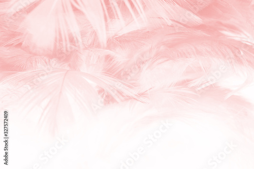 Beautiful soft pink feather pattern texture background with isolated copy space