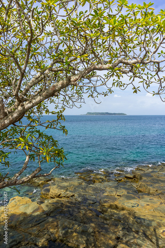 Fototapeta Naklejka Na Ścianę i Meble -  Contadora Island in Panama bay.