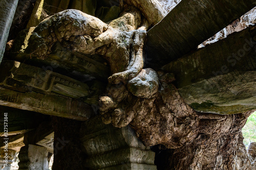 Une racine de ficus maintient les pierre d'un mur du temple Preah Khan dans le domaine des temples de Angkor, au Cambodge
