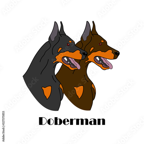 Doberman dogs head for logo, pets for design, dog show breed catalog, kennel logo vector illustration