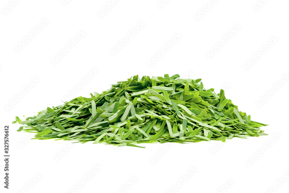 Acacia pennata or Cha Om leaf isolated on white background ,Green leaves pattern Acacia pennata or Cha Om leaf isolated on white background ,Green leaves pattern