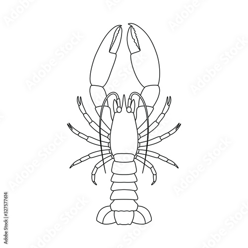 Lobster linear graphic icon. Sea lobster black contour isolated on white background. Vector illustration