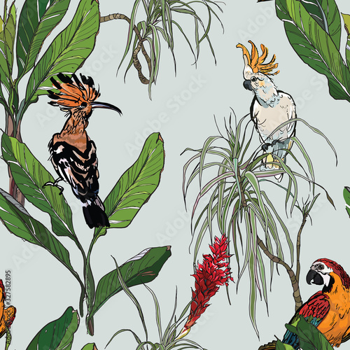 Hoopoe, Cockatoo Parrots in Jungle Tropical Leaves and Dragon Tree with Red Flower Blossom on Blue Background