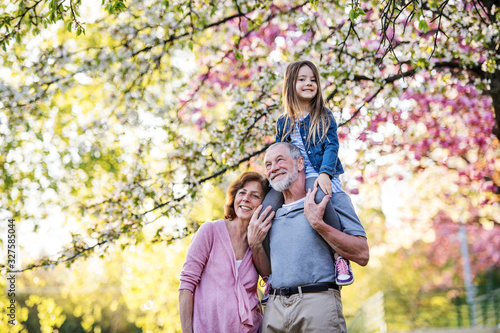 Senior grandparents with small granddaugther outside in spring nature.