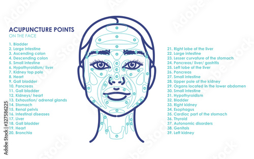 Acupuncture points on the face. Young woman face. Vector trendy line illustration