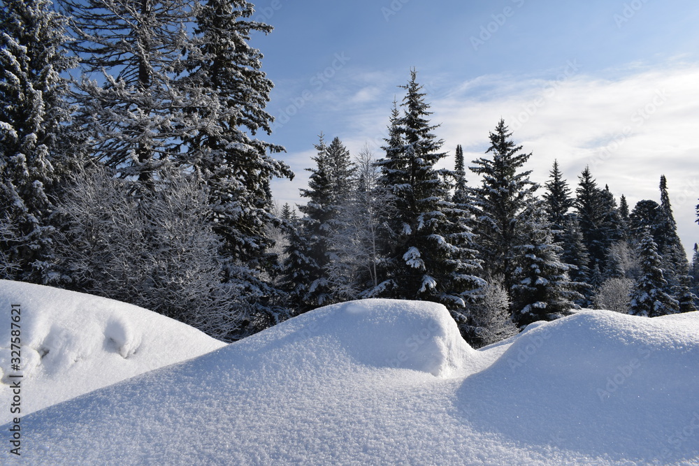 winter landscape with road and trees