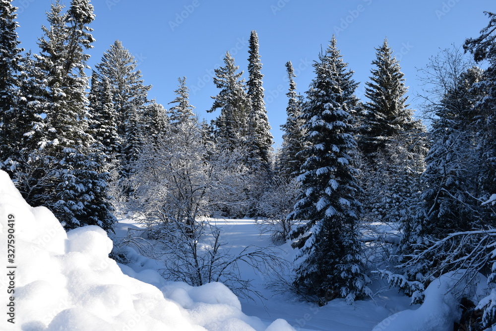 winter in the mountains winter in the mountains