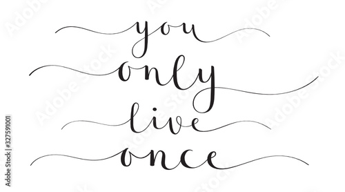YOU ONLY LIVE ONCE black vector brush calligraphy banners with swashes