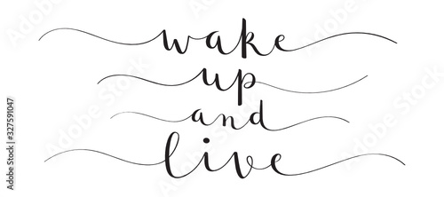 WAKE UP AND LIVE black vector brush calligraphy banners with swashes