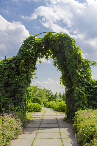 Entrance to the park with climbing plant species, which is decorated with an arch with aristochology