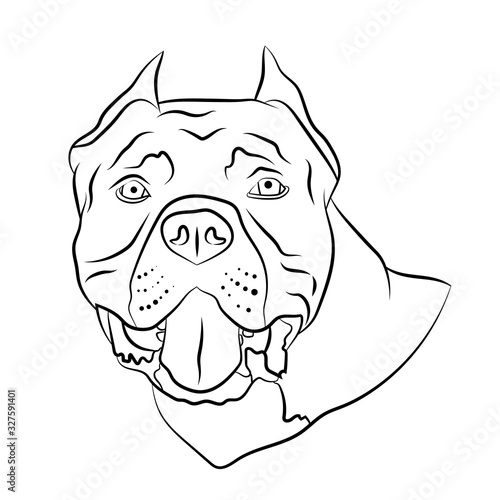 American pitbull, staffordshire terrier, bully dog breed head portrait. Logo, outline isolated vector illustration.