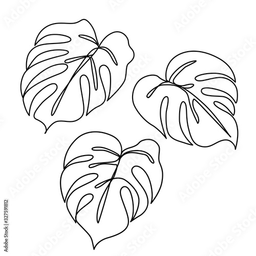 Continuous line monstera leaf. Tropical leaves contour drawing