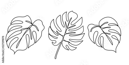 Continuous line monstera leaf. Tropical leaves contour drawing