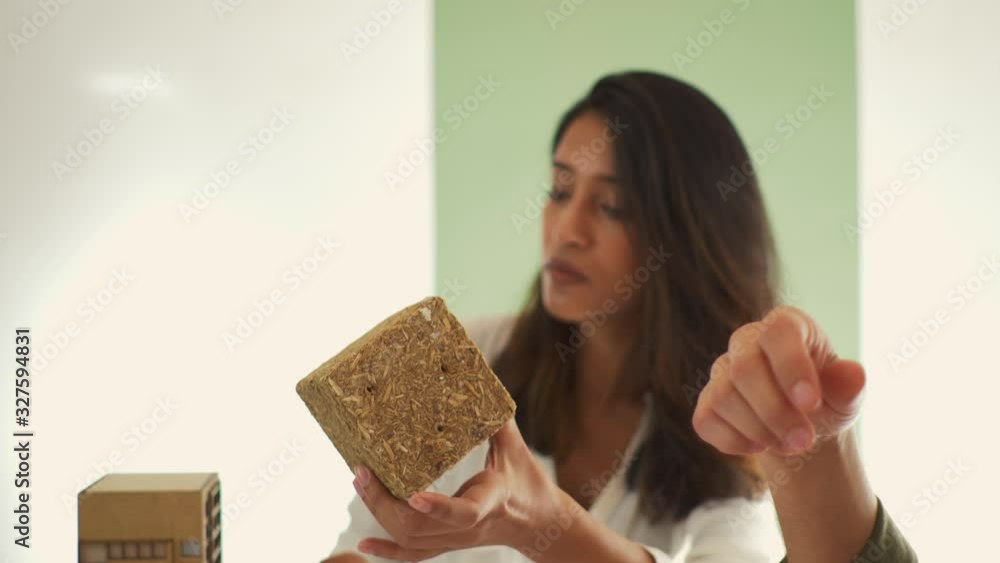 Female architect holding block of pressed wood during meeting Female architect holding block of pressed wood during meeting