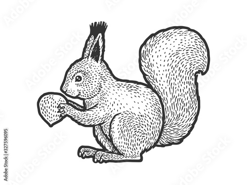 squirrel with nut sketch engraving vector illustration. T-shirt apparel print design. Scratch board imitation. Black and white hand drawn image.