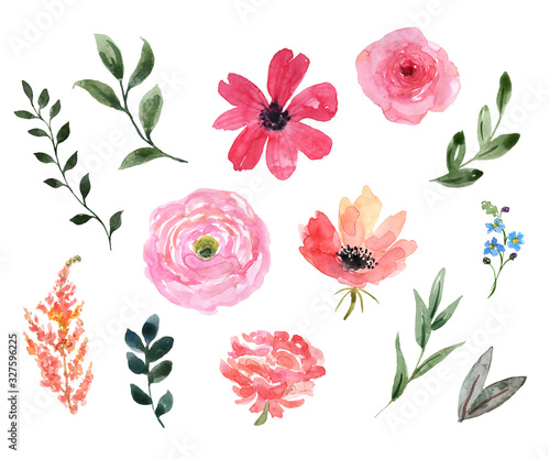 Watercolor floral set. Cute pink wild flowers, green leaf, foliage, isolated ...