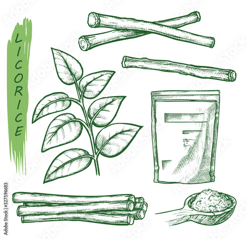 Licorice spice, liquorice root seasonings sketch