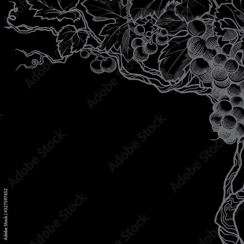 Grape vine. Linear sketch isolated on black background. Blank Template. EPS10 vector illustration