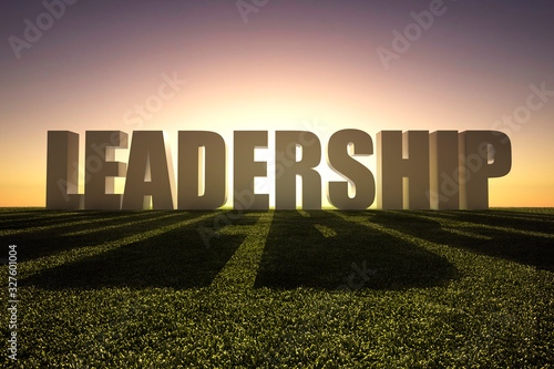 Leadership