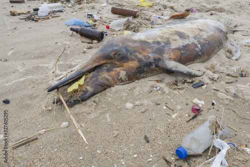 Fototapeta Naklejka Na Ścianę i Meble -  Dolphin thrown out by the waves lies on the beach is surrounded by plastic garbage. Bottles, bags and other plastic debris near is dead dolphin on sandy beach. Plastic pollution killing marine animals
