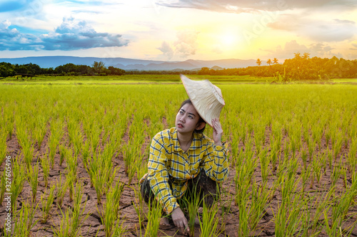 Asia Woman farmer staring dry rice seedlings are dying, in a paddy field with beautiful sky and cloud, The sun setting over a mountain range in the background photo