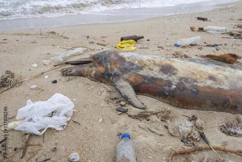 Dead young dolphin is washed up on the shore surrounded by plastic bottles, bags and rubbish thrown in the sea, on background a Black Sea. Plastic pollution killing marine animals. Odessa, Ukraine