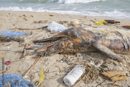 Fototapeta Naklejka Na Ścianę i Meble -  Dolphin thrown out by the waves lies on the beach is surrounded by plastic garbage. Bottles, bags and other plastic debris near is dead dolphin on sandy beach. Plastic pollution killing marine animals