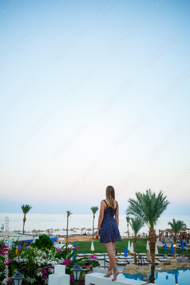 Girl in a dress on a background of sunset and sea