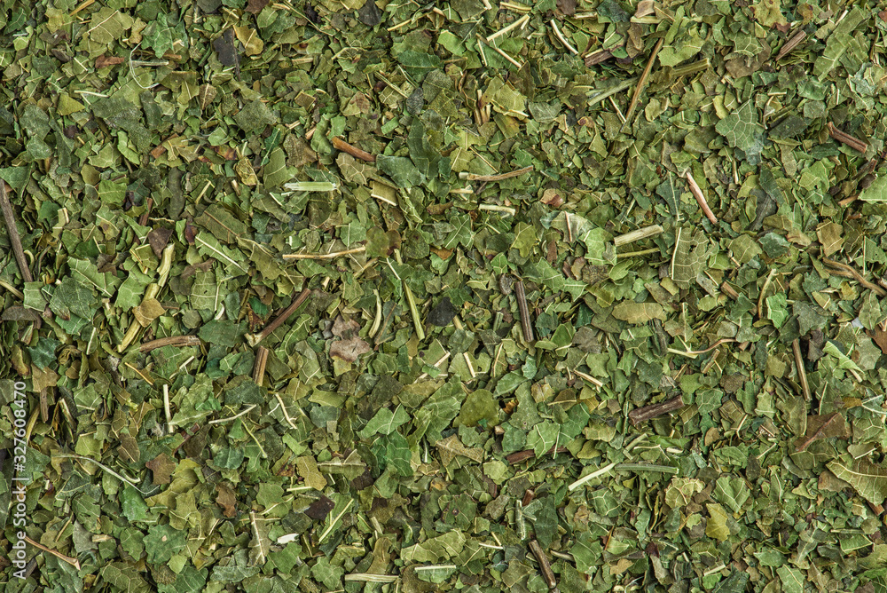 White mulberry leaf tea as background