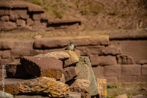 Tiwanaku Bolivia