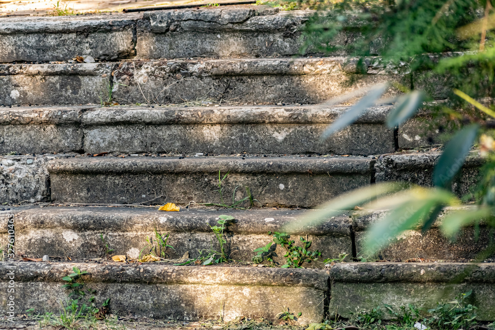 Old concrete grey steps strewn with black berries from the branches of a leaning tree with an interesting composition Old concrete grey steps strewn with black berries from the branches of a leaning tree with an interesting composition
