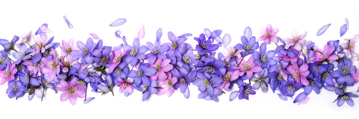 Beautiful floral border